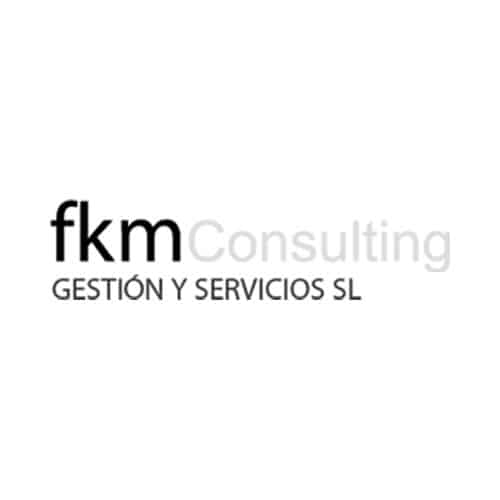 fkm-consulting